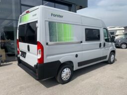 FORSTER V 541 HB youngster voll