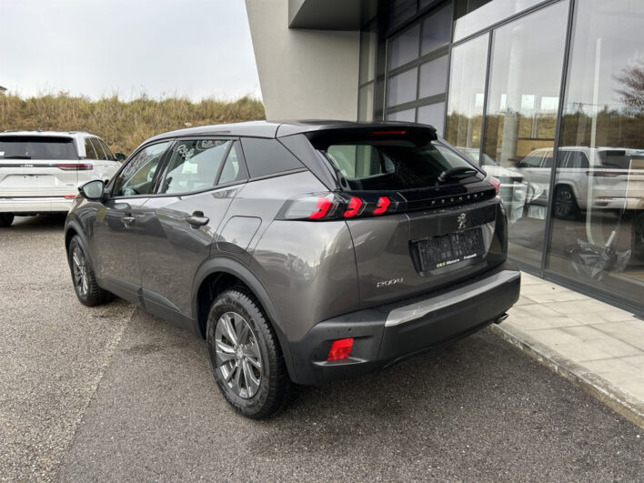 Peugeot 2008 BlueHDI 110 Active Pack voll